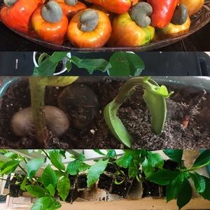 Meet your Posher, Mac